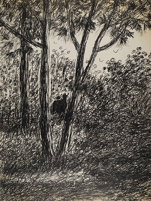 Two people between trees